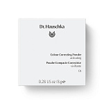 Пудра для лица корректирующая 01 оживляющая (Colour Correcting Powder 01 activating) MuR 8 г